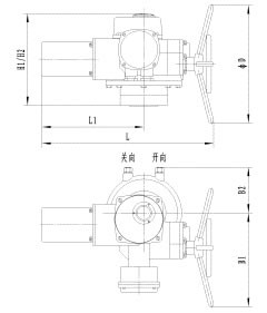 늄(dng)b